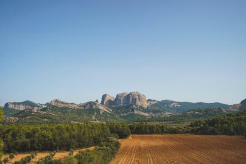 Agroturismo Casa Rural Mas Del Serranet