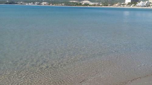 Apartamento Primera L�nea De Mar