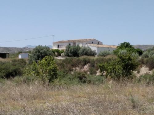 Bed & Breakfast Cortijo Esperanza