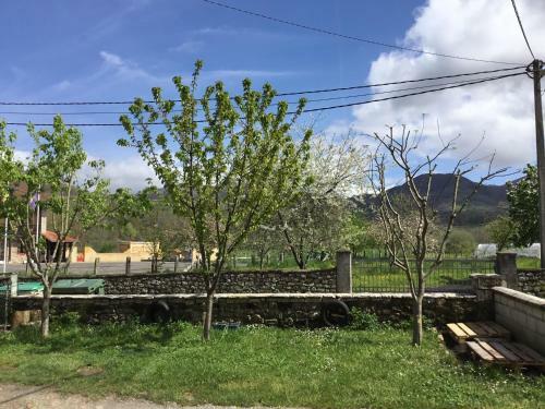 Apartamentos El Bosquexu