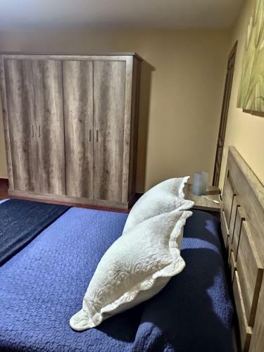 Apartamentos El Bosquexu
