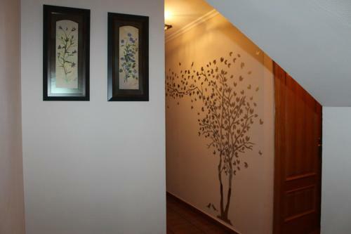 Apartamento Casa Rural Buena Ventura