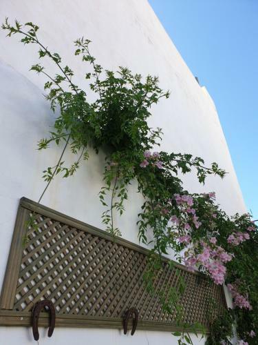 Lala�s House