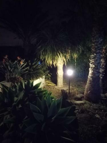 Apartamento Palmeras