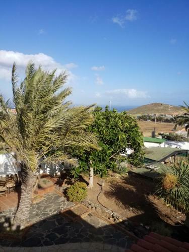 Apartamento Palmeras