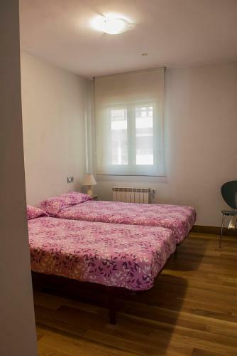 Apartamento Bidasoa By Basquelidays