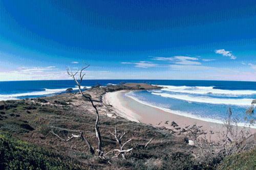 Albergue Yamba Yha Backpacker Beach Resort
