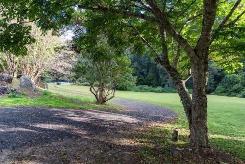 Lodge Mt Warning Forest Hideaway