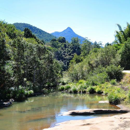 Lodge Mt Warning Forest Hideaway