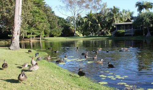 Sanctuary Lakes Fauna Retreat