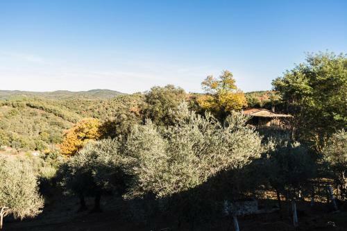 Pozuelo 3 Jabugo