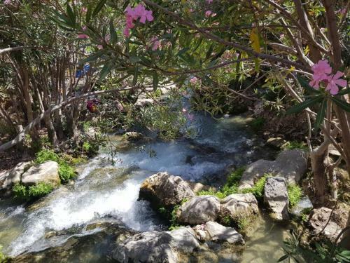 Apartamento Rs Jardin Del Pintor Vde 066