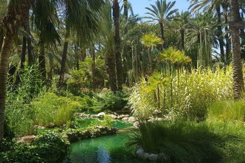 Apartamento Rs Jardin Del Pintor Vde 066