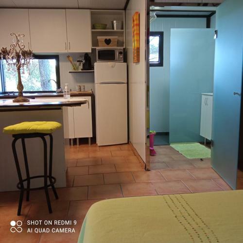 Apartamento Estudio En Plena Naturaleza ,2