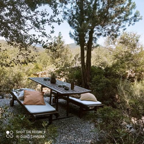 Apartamento Estudio En Plena Naturaleza ,2