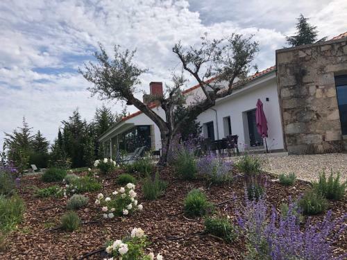 Apartamentos Rurales La Gloria de Yuste