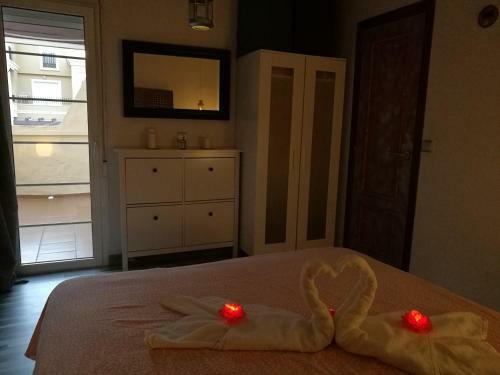 Apartamento Canela