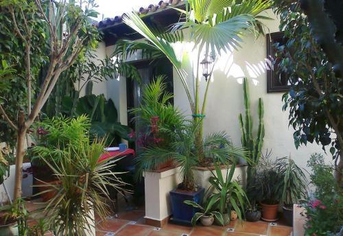 Apartamento Aptos Monasterio de San Antonio 1
