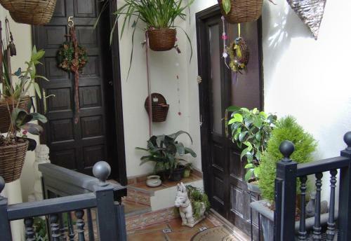 Apartamento Aptos Monasterio de San Antonio 5