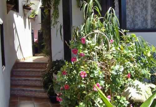 Apartamento Aptos Monasterio de San Antonio 3