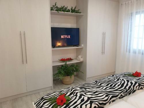 Apartamento Plaza San Marcos