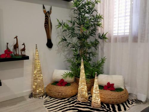 Apartamento Plaza San Marcos