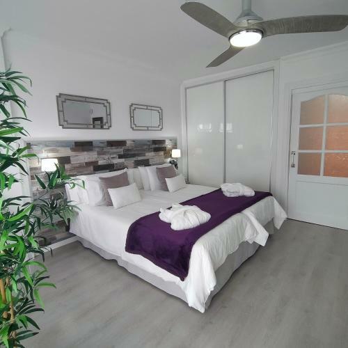 Apartamento Playa Monis