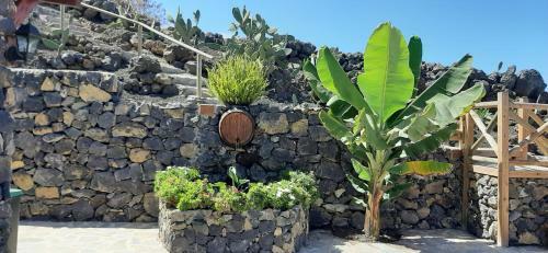 Agroturismo Casas Rurales Los Guinderos