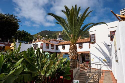 Apartamento Platanera Suites