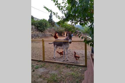 La Tagora Casa Rural En Icod de Los Vinos