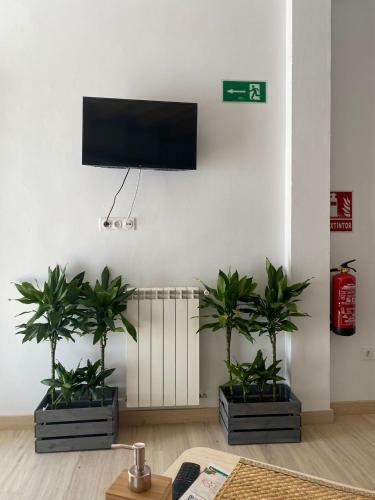 Hostal Jerez Hostel