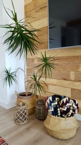 Apartamento Oroel