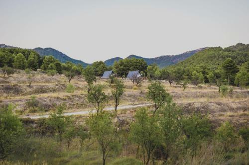 Villa Finca Les Coves