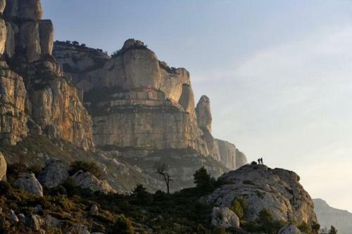 De Cul Al Montsant