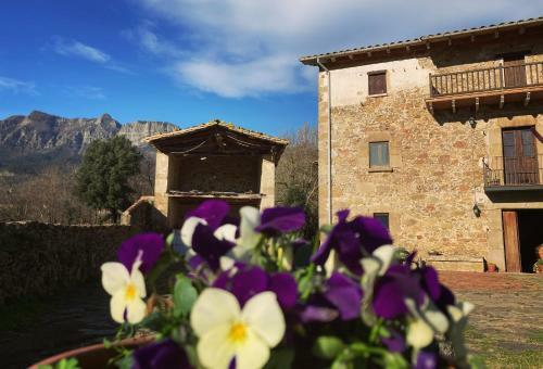 Apartamento Can Riera Joanetes