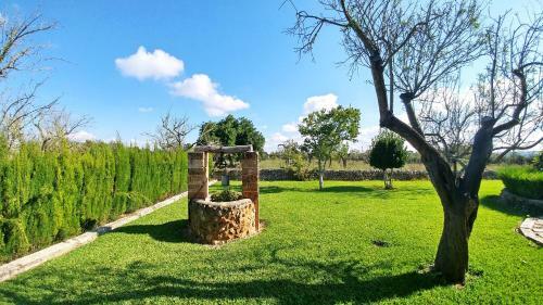 Villa S'alfabia