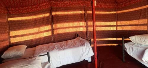 Alshmokh Camp