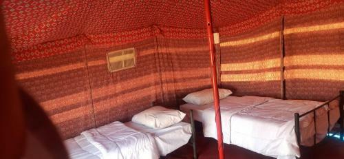 Alshmokh Camp