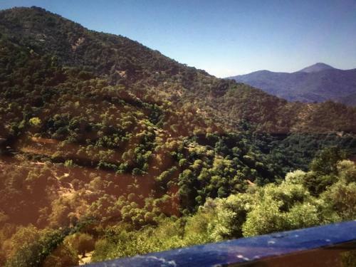 Apartamento J�brique