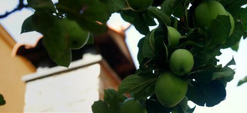 Agroturismo Casitas Del Huerto
