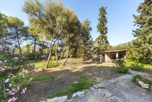 Villa Sa Rota de L'avi - Can Colombas