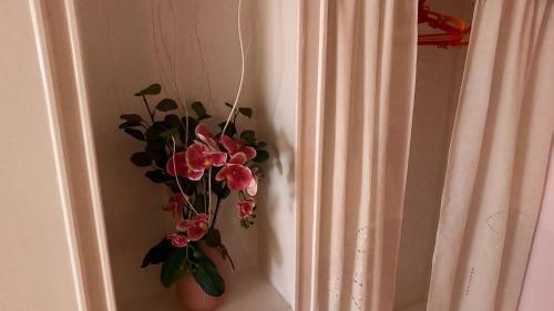 Apartamento Rosa Eden
