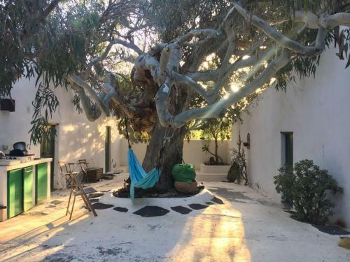 Apartamento Patio I