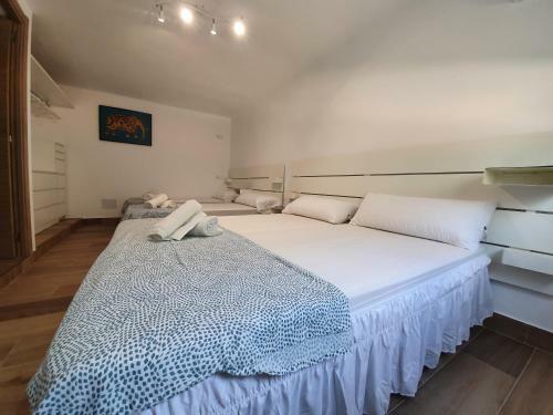Villa Ca�n Roser