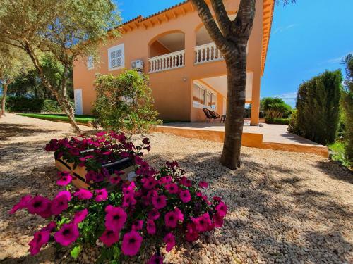 Villa Ca�n Roser