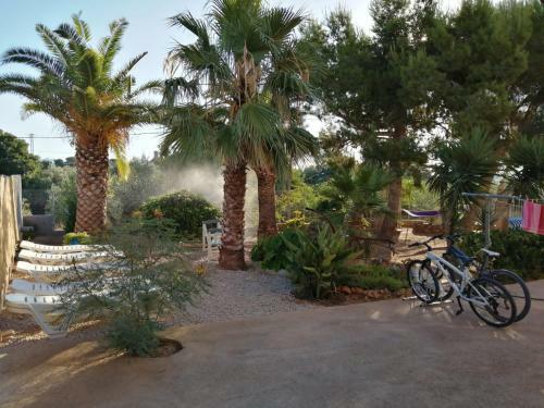 Apartamento Masia Tona