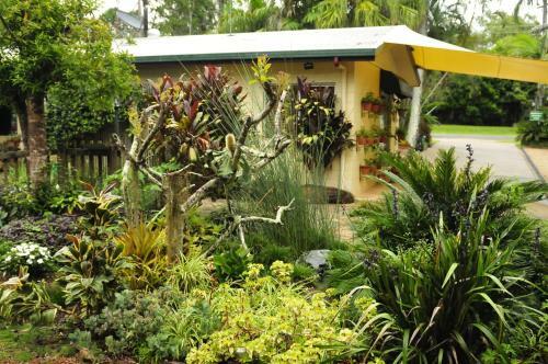 Kookaburra Lodge Motel