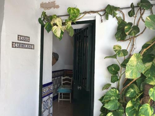 Casa Carmeleni - Ole Solutions