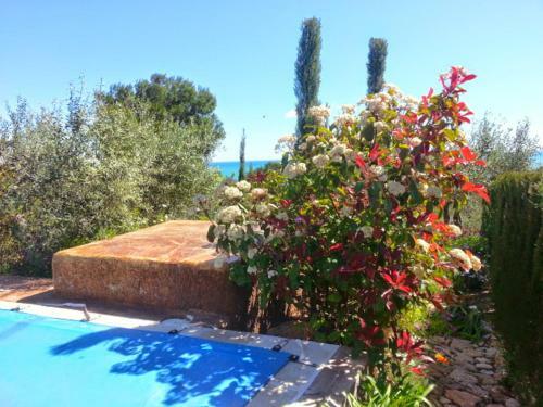 Villa La Marinada