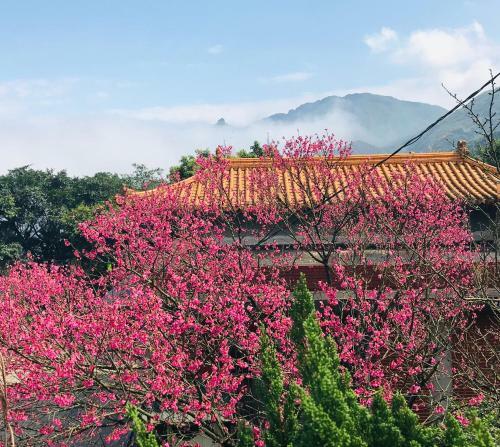 Jiufen Wangqin Sea View Homestay